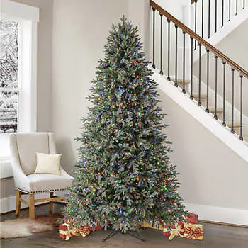 Why Do We Put Up Christmas Trees?